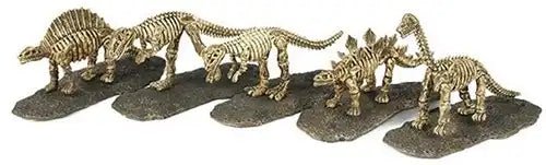 24 Stück Dinoworld Dino Fossilien – Set mit 24 Überraschungsfossilien - Kleingeschenke-Paradies.de