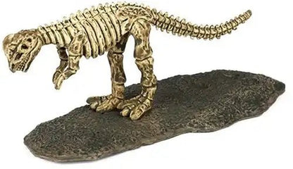 24 Stück Dinoworld Dino Fossilien – Set mit 24 Überraschungsfossilien - Kleingeschenke-Paradies.de